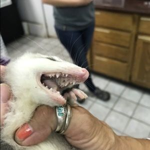 Meet your Posher, Keith